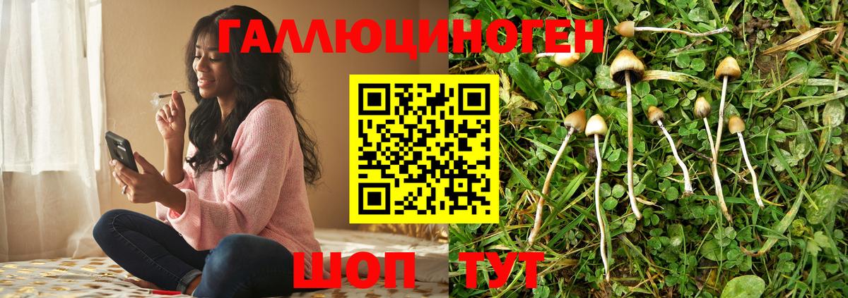 Галлюциногенные грибы прущие грибы  Галлюциногенные грибы Magic Shrooms  Спасск-Дальний  Вход с VPN 