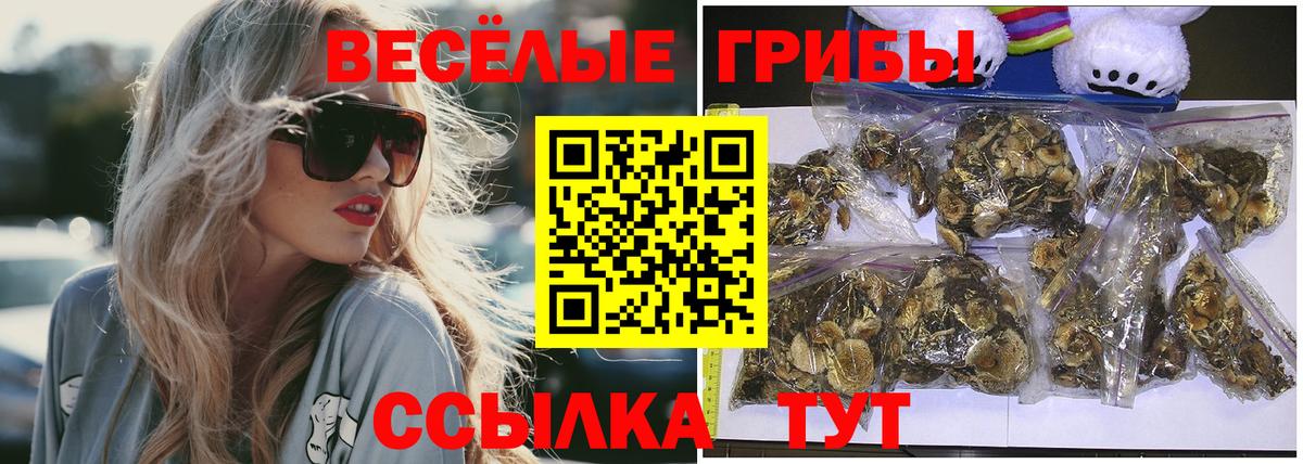 Галлюциногенные грибы Psilocybine cubensis Спасск-Дальний
